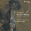 Brockes Passion : Rene Jacobs / Akademie fur Alte Musik Berlin, RIAS Kammercho, etc (2CD)