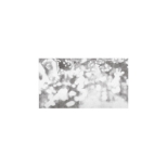 A VIEW MOVIES(LIVE DUB)(DVD+Download Code)