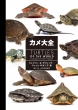 JS Turtles Of The World