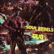 Soul Rebels Dub (red & yellow vinyl specification/analog record)