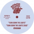 Turn Down The Lights (12 inch single record)