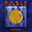 Joyful Sky (Vinyl Record)