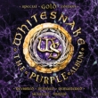 Purple Album XyVES[hEGfBV (2g SHM-CD+Blu-ray)
