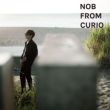 Nob From Curio