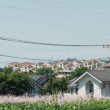Ienami