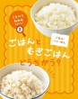 ͂EpE߂ ͂Ƃނ͂@ǂ? ׂĂ킩H炸