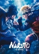 Live Spectacle Naruto -Shinobi No Ikiru Michi-