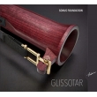Glissotar: Daniel Vaczi(Glissotar)Sonus Foundation Tsilumos Ensemble
