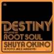 Destiny Replayed By Root Soul (アナログレコード)