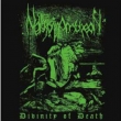 Divinity Of Death