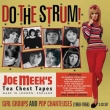 Do The Strum -Joe Meek' s Girl Groups And Pop Chanteuses (1960-1966)