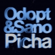 Picha (Feat Jamie Paton Remix & Dub)