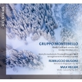(Chamber)violin Concerto: Wintherr(Vn)Guittart / Gruppo Montebello +busoni