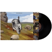 This Could Be Texas (Vinyl)