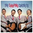 Chirping Crickets (Vinyl)