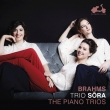 Piano Trio, 1, 2, 3, (Piano Trio)horn Trio, Etc: Trio Sora (2CD)
