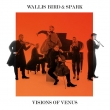 Visions Of Venus: Wallis(Vo, G)Bird Spark
