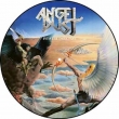Into The Dark Past (Picture Disc Vinyl)