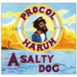 A Salty Dog Plus