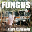 Risky Asian Home