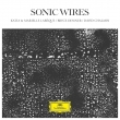 Sonic Wires : Katia Labeque, Marielle Labeque(P)David Chalmin, Bryce Dessner(G)