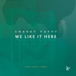 We Like It Here (Remixed +Remastered +Reimagined)
