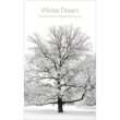 Winter Dream (Cassette Tape)