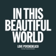 IN THIS BEAUTIFUL WORLD (180OdʔՃR[h)