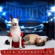 Big Hits: Rick Springfield' s Greatest Hits Vol.2
