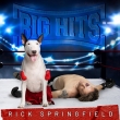 Big Hits: Rick Springfield' s Greatest Hits Vol.2