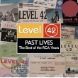 Past Lives: Best Of The Rca Years (Yellow Vinyl/2LP/180g/Music On Vinyl)