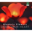 Draw Your Heart