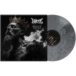 Bellum Regiis (Grey Marble Vinyl)