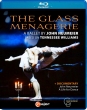 The Glass Menagerie -A ballet by John Neumeier : Alina Cojocaru, Alessandro Frola, Hamburg Ballet (2024)