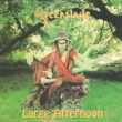 Large Afternoon -Expanded 2cd Edition