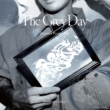 THE GREY DAY / A BRUSH