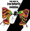 Best Of Iron Butterfly -Evolution