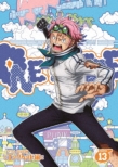 ONE PIECE s[X 21STV[Y GbOwbh PIECE.13
