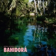 Africa Express Presents...Bahidora