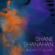 Shane Shanahan: Audacity (Live)