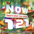 Now That' s What I Call Music! 121 (2CD)