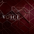 VOICE -REBORN II -