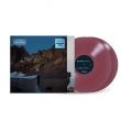 Night Diving (The Cost Of Growing Up)(Opaque Maroon Vinyl)