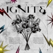 Ignite