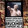 Symphony No.8 : Anton Nanut / Ljubljana Radio Symphony Orchestra (MQA)