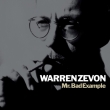 Mr.Bad Example