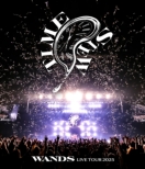 Wands Live Tour 2025 -Time Stew-