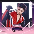 ICONIK (PARK GUN WOOK ver.)