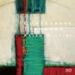 Keizo Mizoiri : Contrabass Typhoon 2