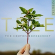 Tree: The Hermes Experiment